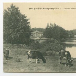 Forêt de Paimpont (I.-et-V.) - Au Bord de l'Etang des Forges.
