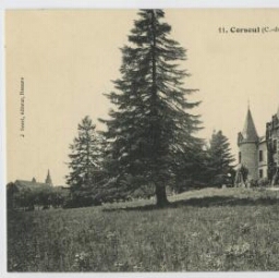 CORSEUL (C.-du-N.). - Château de Monterfil