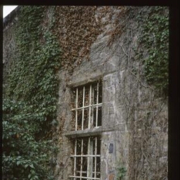 Hillion. - Manoir dit Le Verger : fenêtre salle basse.