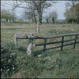 Saint-M'Hervé. - paysage, champ, barrière rustique.