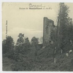 Ruines de Montafilant (C.-du-N.)