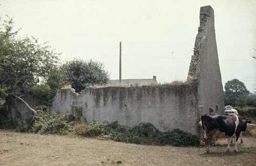 Guérande. - Folhaie : maison en ruines, arrière.