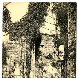 LANDEVENNEC.- Ruines de l'Abbaye, l'Abside.