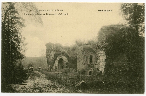 St-NICOLAS-DU-PELEM Ruines du château de Beaucours, côté Nord
