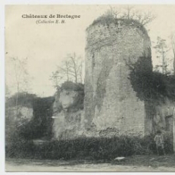 Ruines du Chateau de la Chèze (C.-du-N.)