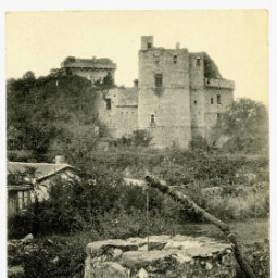 Château de CLISSON. - Ensemble sud-ouest