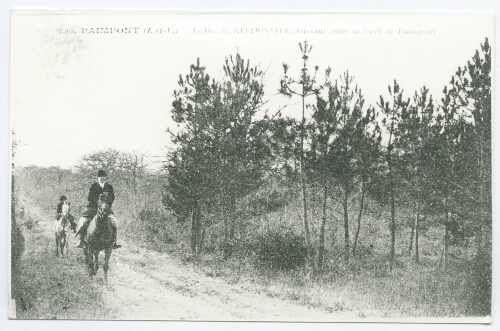 PAIMPONT (I.-et-V.) Le Duc de WESTMINSTER chassant dans la forêt de Paimpont.