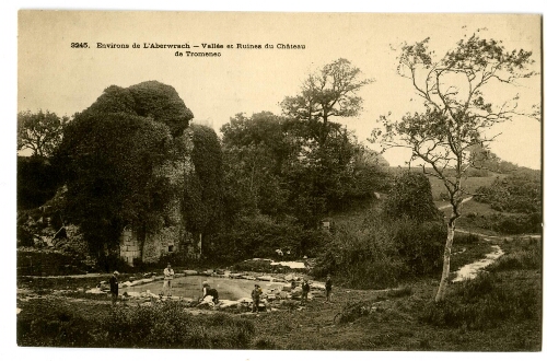 Environs de L'Aberwrach - Vallée et Ruines du Château de Tromenec
