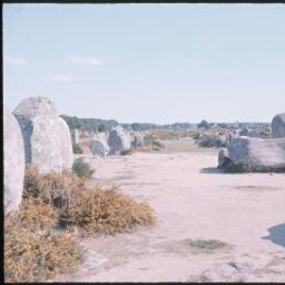 Carnac. - Le Menec : alignements, megalithes.