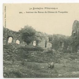 TONQUEDEC (Côtes-du-Nord). Les Ruines du Château, vue intérieure de la cour d'honneur.