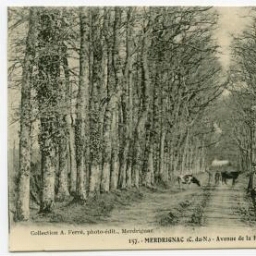 MERDRIGNAC (C.-du-N.) - Avenue de la Hardouinaie