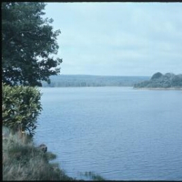 Paimpont. - Bourg : lac, paysage.