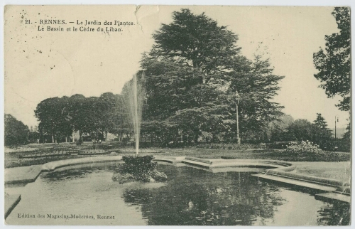 Rennes. - Le Jardin des Plantes - Le Bassin et le Cèdre du Liban.