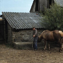 Trégunc. - Manoir de Kermadoué : maison, manoir, chevaux.