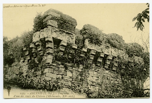 IANCENIS (L.-Inf.). - Fragment d'une des tours du Château (Mâchicoulis, XVe siècle)