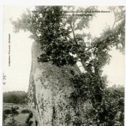 TREBOUL Le Menhir-au-Chêne aux Sables-Blancs, environs de Douarnenez