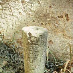 Vannes. - Musée : stèle.