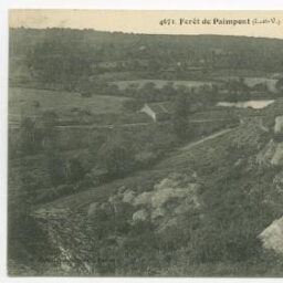 Forêt de Paimpont (I.-et-V.) Beauvais. - Les Vaux de Chatenay.
