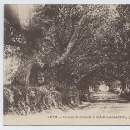 Chemin Creux à KERLAGADIC, près Bannalec