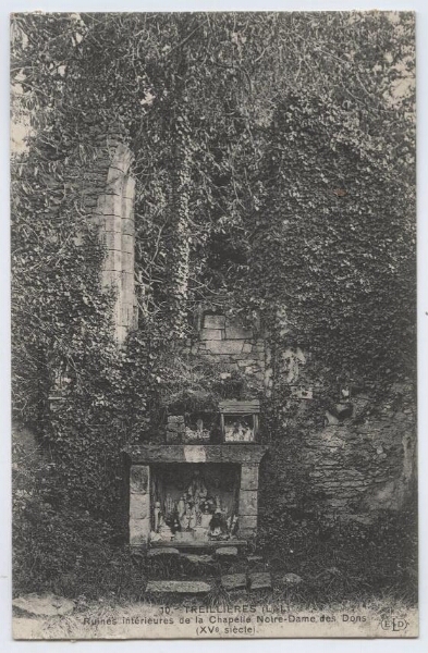 Treillières (L.-I.) Ruines intérieures de Chapelle Notre-Dame des Dons (XVe siècle)