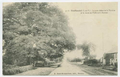 Treffendel (I.-et-V.) - Le gros chêne de la Victoire et la route de Ploërmel à Rennes