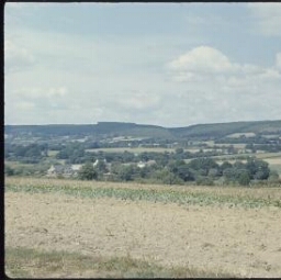 Landes de Lanvaux : paysage.