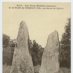 Les Deux Menhirs jumeaux de la Forêt de DUAULT , environs de Callac