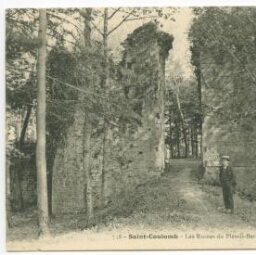 Saint-Coulomb - Les ruines du Plessis-Bertrand
