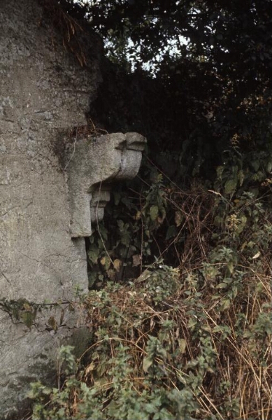 Guérande. - Folhaie : maison en ruines, cheminée.