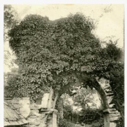 LANDERNEAU. - Ruines du Château de Joyeuse Garde à la Forêt.