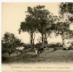 LA FOREST (Finistère). - Ruines du Château de la Joyeuse Garde