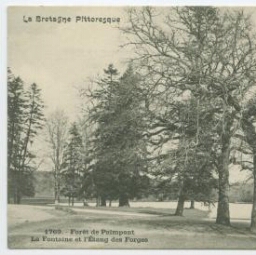 Forêt de Paimpont. La Fontaine et l'Etang des Forges.