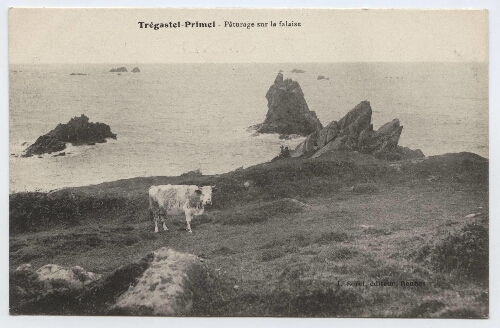 Trégastel-Primel - Pâturage sur la falaise