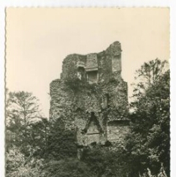 St-AUBIN-du-CORMIER (I.-et-V.).- Les Ruines du Château élevé par Pierre Mauclerc, Duc de Bretagne en