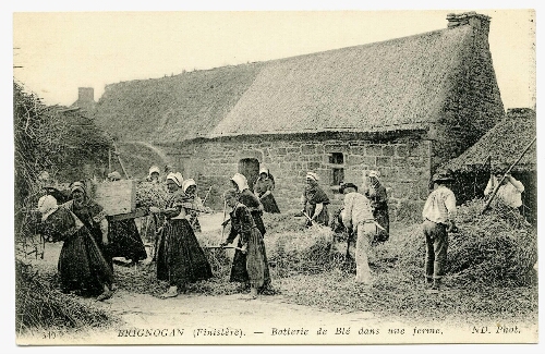 BRIGNOGAN (Finistère). - Batterie de Blé dans une ferme.