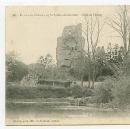 Ruines du Château de Saint-Aubin-du-Cormier - Bord de l'Etang.