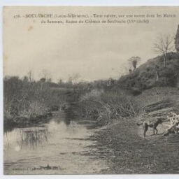 SOULVACHE (Loire-Inférieure). - Tour ruinée, sur une motte dans les Marais du Semnon