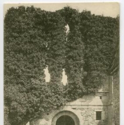 Abbaye de Beauport. - Réfectoire et Cave