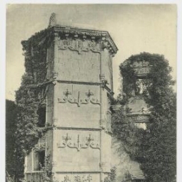 Environs de DINAN. - Les Ruines du Château de la Garaye