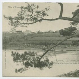 LA GUIMORAIS. Etude d'arbres au bois du Lupin- Côte d'Emeraude