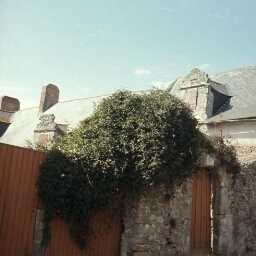 Frossay. - rue de la Paix : maison (date 1572 sur lucarne arrière).