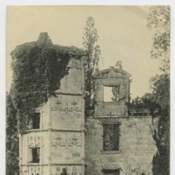 DINAN. - Ruines du Château de la Garaye