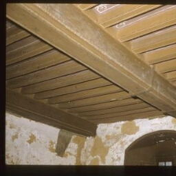 Noyal-sur-Vilaine. - Château du Bois Orcan : maison, manoir, château, salle haute, plafond, poutres.