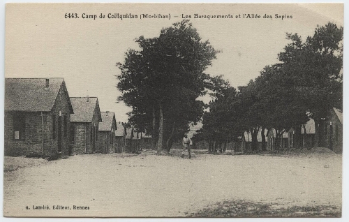 Camp de Coëtquidan (Morbihan) - Les Baraquements et l'Allée des Sapins.