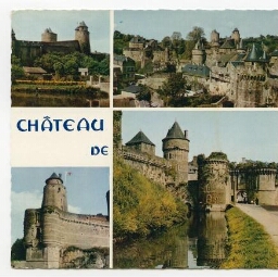 Château de FOUGERES.