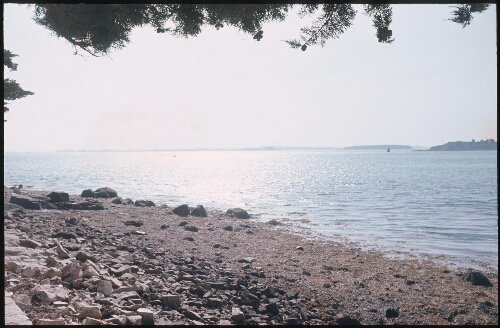 Arradon. - Pointe d'Arradon : paysage (point d'Aradon, île d'Arz).