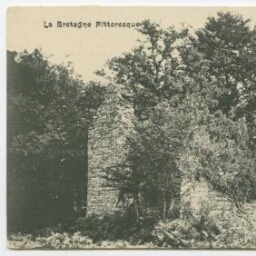 Environs de Plélan. Ruines de la Chapelle de la Vieille Seigneurie de La Chaize.