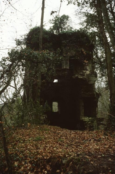 Cuguen. - La Roche Monbourchier : château-fort, donjon, tour, ruines.