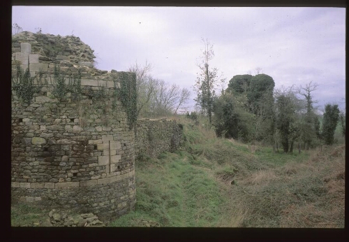 Corseul. - Montafilan : château-fort, ruines.