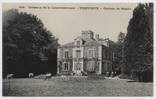 Châteaux de la Loire-Inférieure - Treffieux - Château de Baiglie